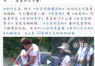 娱乐吃瓜酱打牌是真的吗,娱乐吃瓜酱打牌传闻真相揭秘