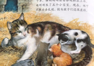 小猫咪的故事,小猫咪的奇幻冒险之旅