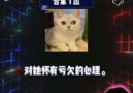 娱乐圈吃瓜综艺,揭秘明星幕后那些事儿