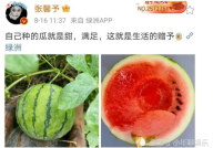 今日娱乐圈有什么瓜可以吃,揭秘今日热点事件