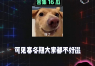 吃瓜娱乐剪辑,短视频时代下的娱乐热点解析