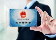 社保费,政策解读与影响分析