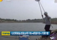 化氏钓技训练营全集,钓鱼大师化绍新倾囊相授，全面解析钓鱼技巧与策略